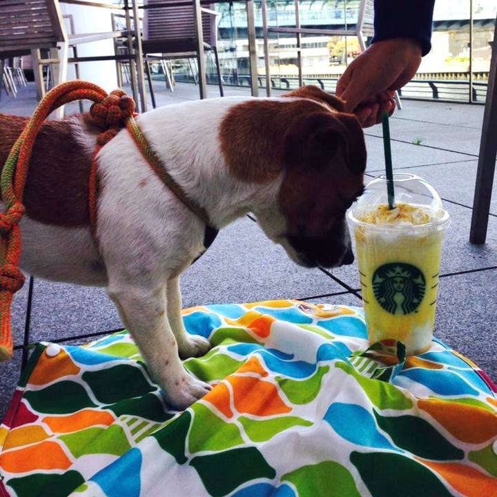 278d91ef 6db9 4675 8ab6 9174db48fbaf 1681257818294