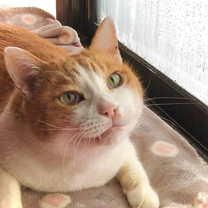 278d9e24 2706 4467 b5fa 133c73b0a6c0 1610439590128