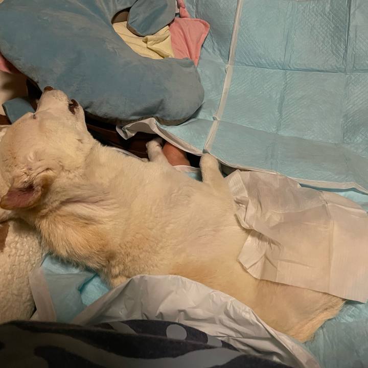 278dc341 9e40 4cf5 96b6 5db94295d62d 1678473437135