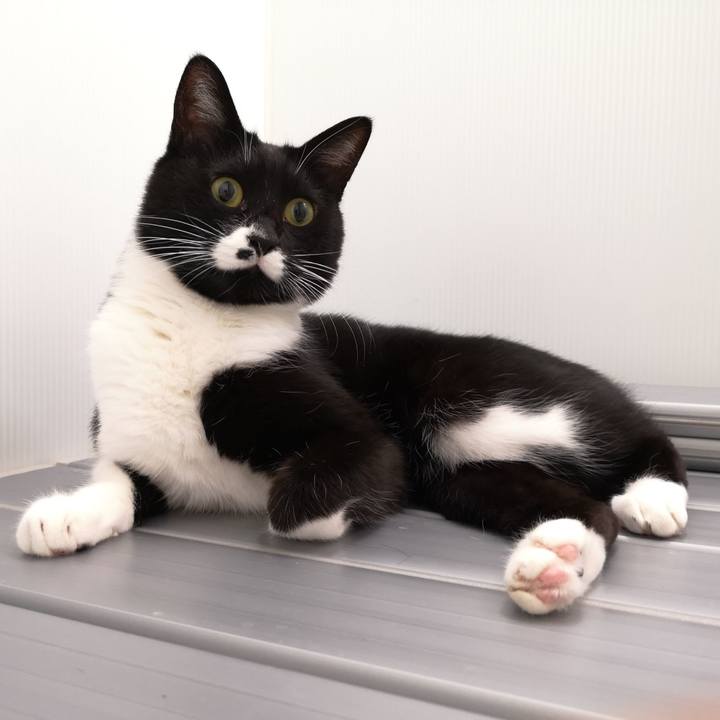 278dd392 6d3c 4e5e bc08 e2a1a5655e52 1543857570915