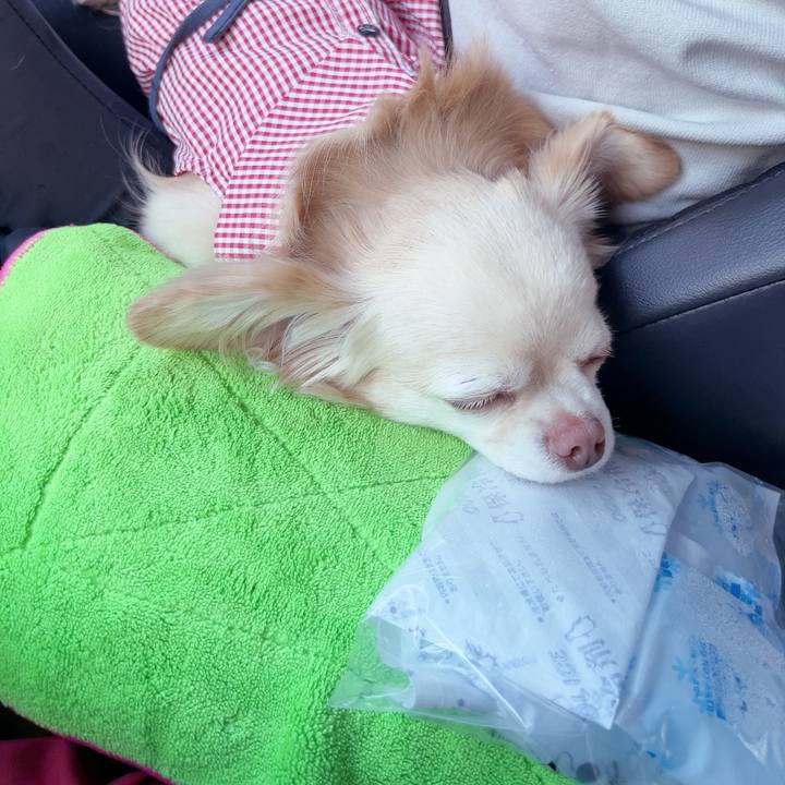 278dea38 c7dd 4d67 8cbc e1c05e97200d 1753100880477