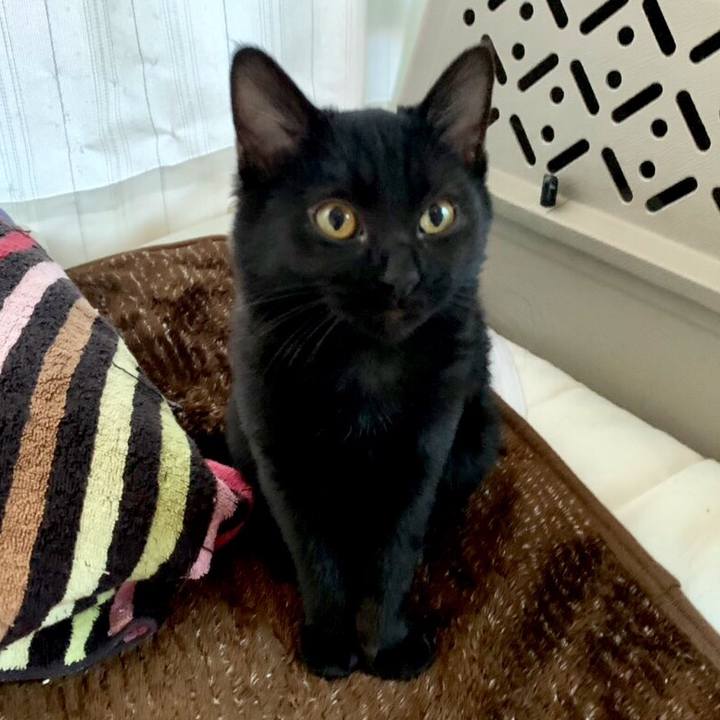 278e492d e18f 4e3a 96d6 6efef9199e38 1542756390812