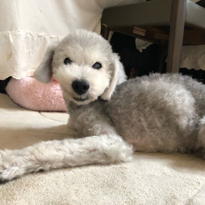 278e77c5 9d5b 4021 9a85 8a24d98a1748 1659917351789