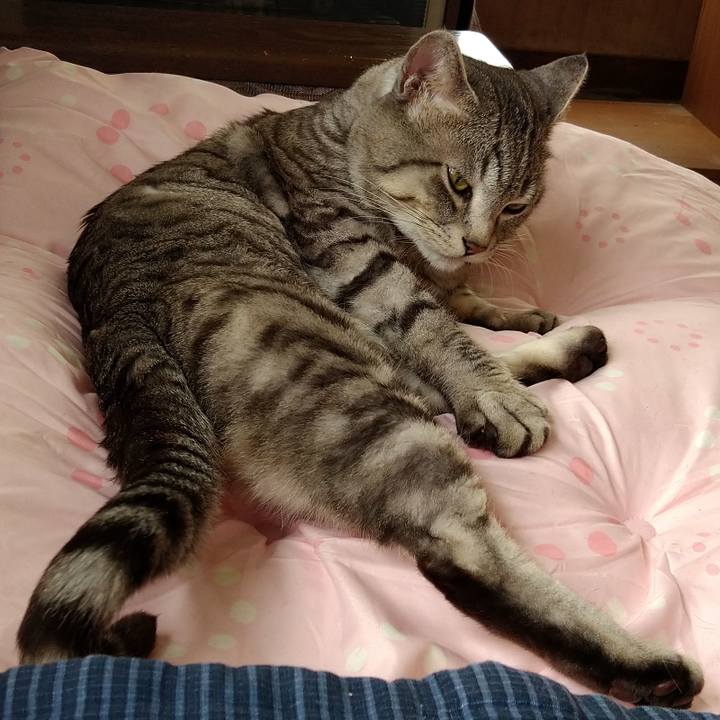 278e808e e2b7 44c3 9c28 6f423cce0fab 1614090513836