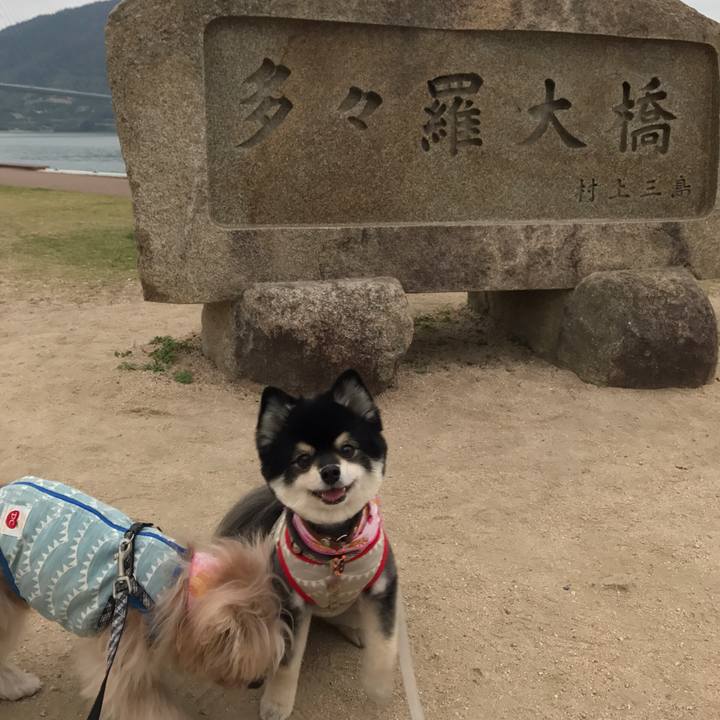 278e8308 9e28 400b bbdb df028405321e 1542514249724