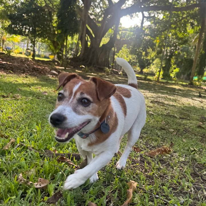 278ebc2e 255c 455a 9ef9 d57d1eff8f85 1774744546474