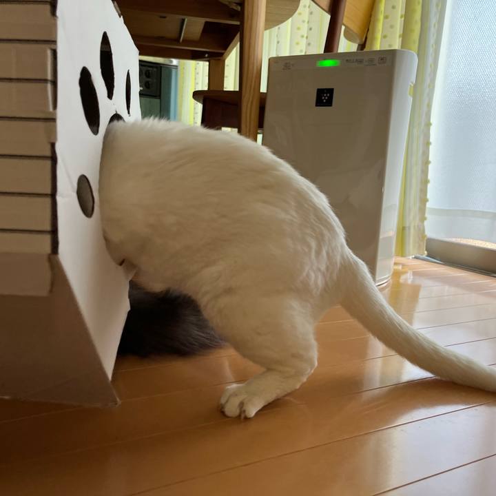 278edf77 cf9a 425f 8e73 59d9d44023ed 1693020716336