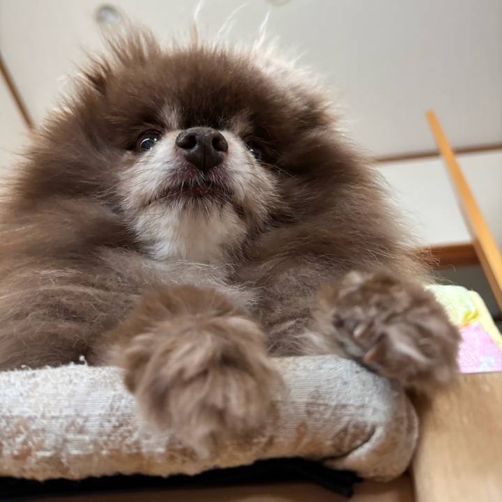 278edf82 a49e 4156 b95b a3fe8192cc96 1745880590212