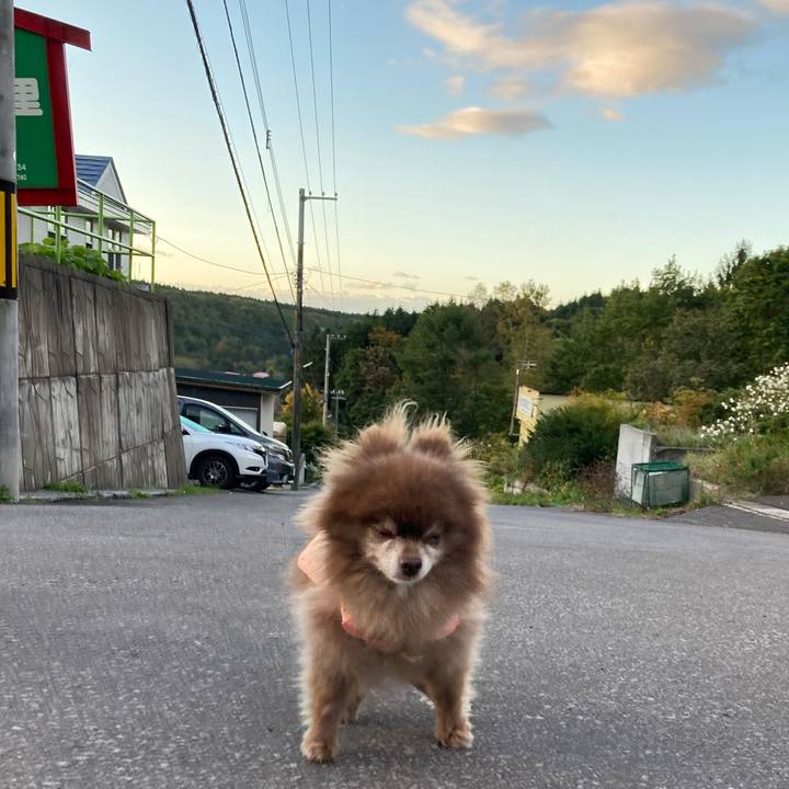 278f0504 8460 4c7d 8deb 0dcd635e0124 1697673234916