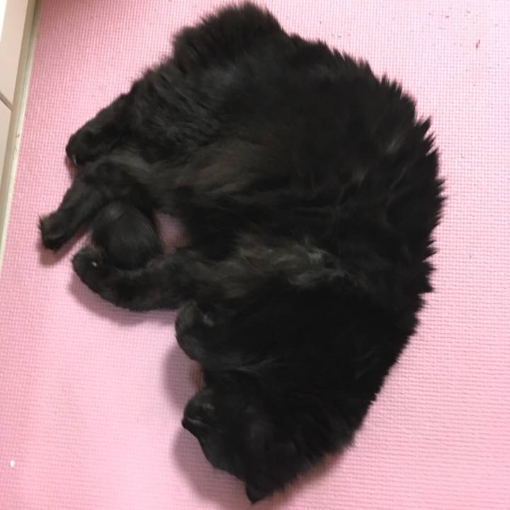 278f2549 ed01 484d 935a 39c89cb698e9 1528384315872