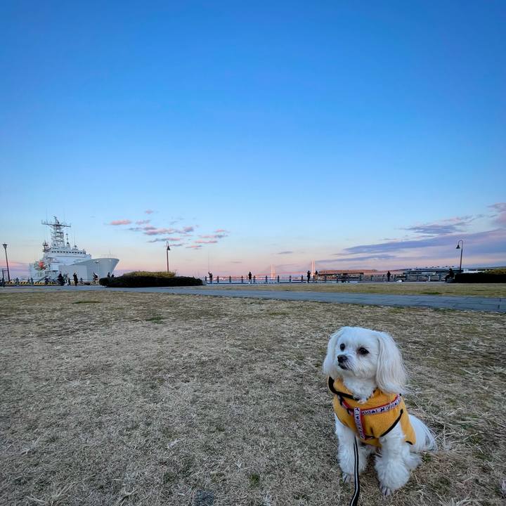 278f4163 672c 4e0f 9eaa 7acae2f5b02a 1644131325680