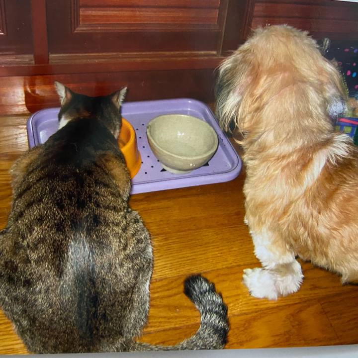 278f499d 934b 485c bd10 ba201a34b842 1650023638663