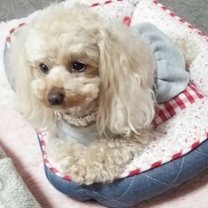 278f72c8 7f95 4e0b 86e4 d76d50835058 1522327739917