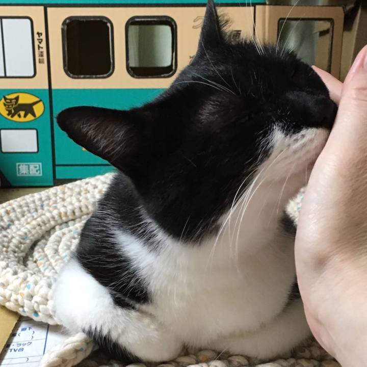 278f8ba1 fe3b 4be7 a014 aca22f7e578d 1530610962296