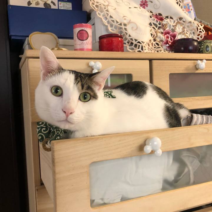 278fc754 80c5 4f10 a5c0 1d96e93882d6 1537964906553