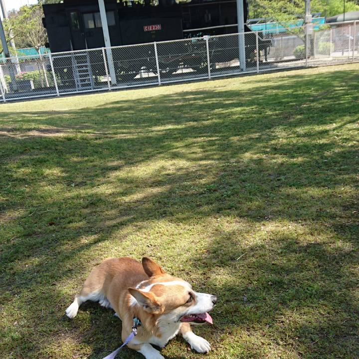 278fe59a f409 4b3b bc40 2cb5fbedeabf 1587816554219