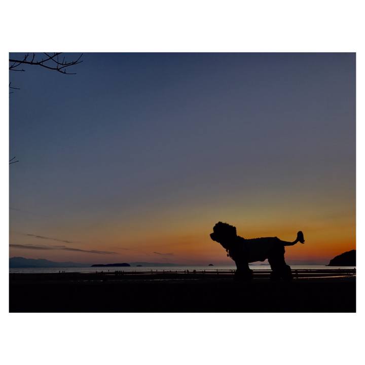 27902f3e c7b1 4257 9588 47cdd05bbd86 1553442276011