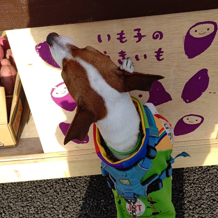 27904055 3bc8 431a a20f 33e976a6d231 1646471147434