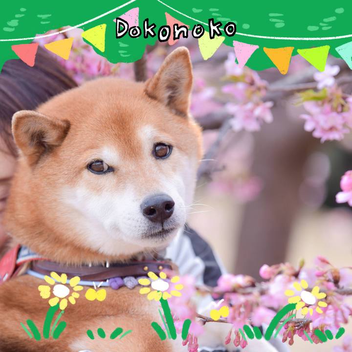 27904eae f430 4f1e 8315 079597bca658 1711016156658