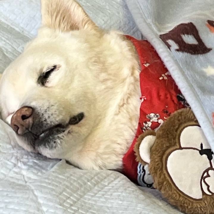 27908c1a 6970 4a0c a195 3dfb016b16b4 1769832030956