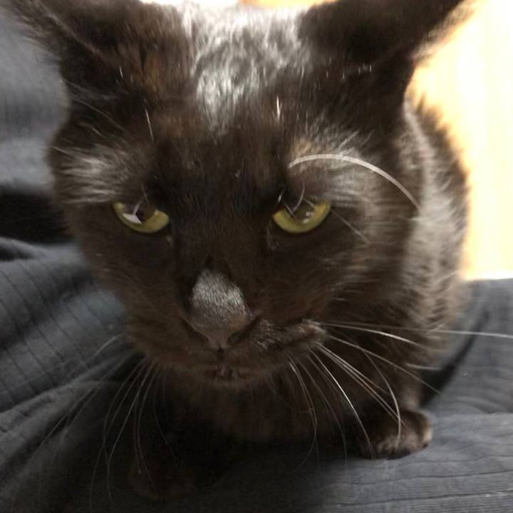 2790ce48 4dff 4385 a5ca 8d8306cc9e62 1599828582560