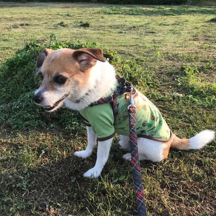 2790eb0e 8484 49f9 8db2 a3b992432d36 1563355812370