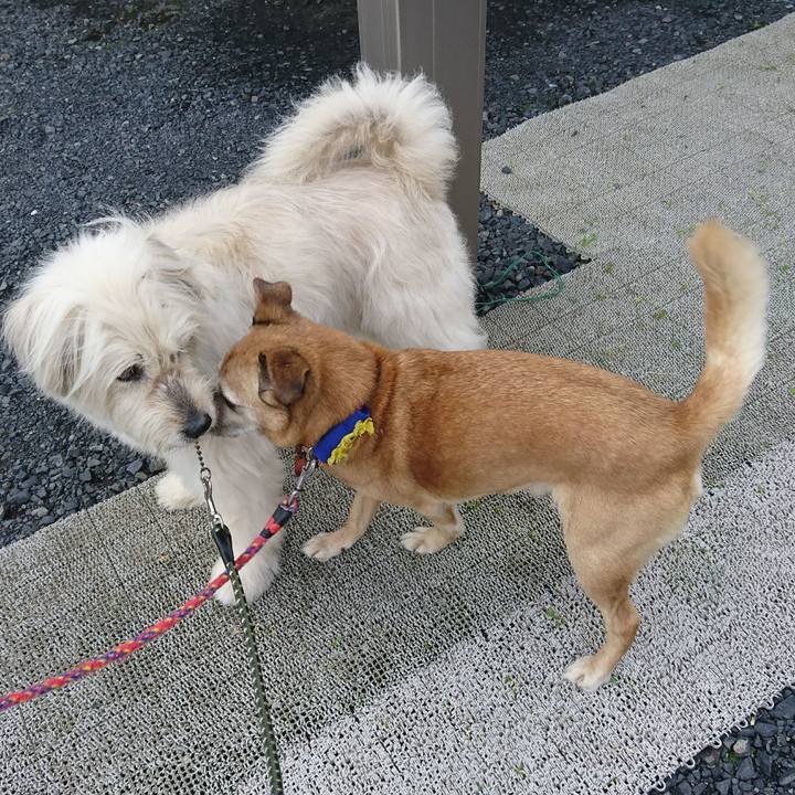 27913e44 5a89 4428 9053 9da9459d42f0 1589956814051