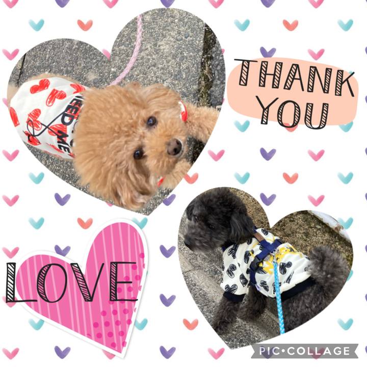 27915bc0 ffbc 4358 abc7 7acba14a8ac4 1676360857350