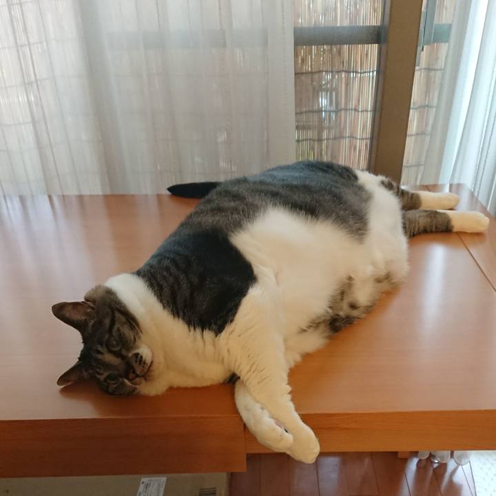 27917e62 46f8 4027 853b e526dd1fcde4 1561071124346