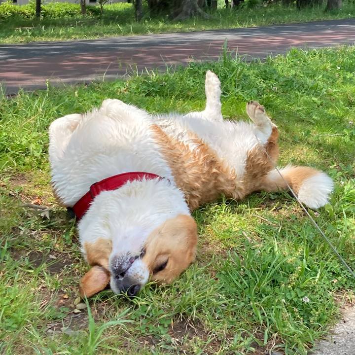 27919ed6 1168 40ce 88e2 0e3026bdfe0a 1683771968610