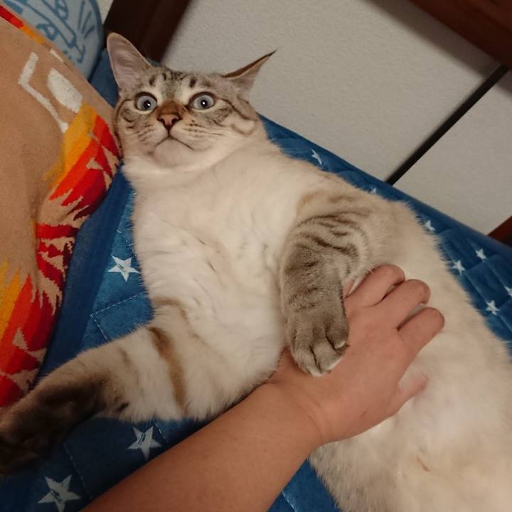 2791a1cd debd 4351 82b2 ce4df233e36e 1569067804661