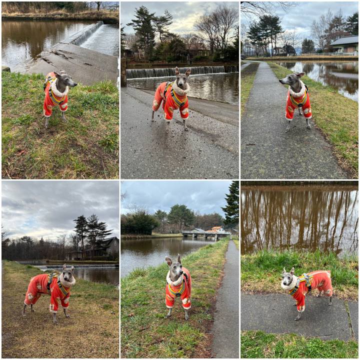 2791b03d 4d6e 4e36 ac05 5a9ad3018004 1776675546921