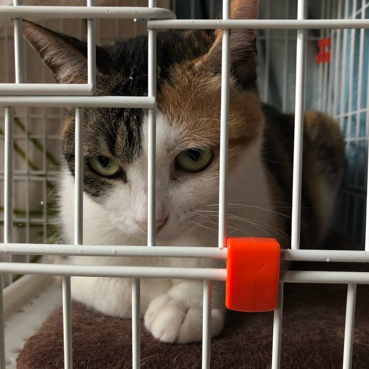 2791b2fa 1249 440b adc8 2a143b4cceaf 1592876903037