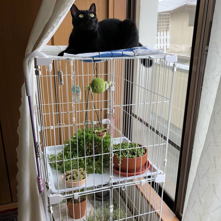 2791d6eb 0cb6 471a bcc0 7fdd783d4e91 1533774716073