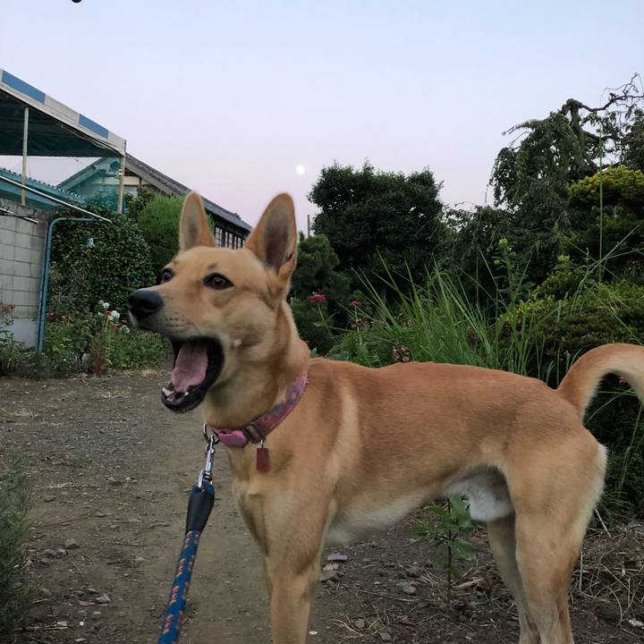 27921773 21b0 4a95 907d 1111c6b44240 1532600499319