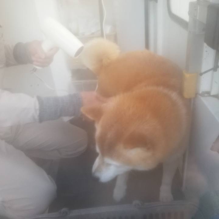 2792322b e43b 4035 846e d26901f996de 1734312288609