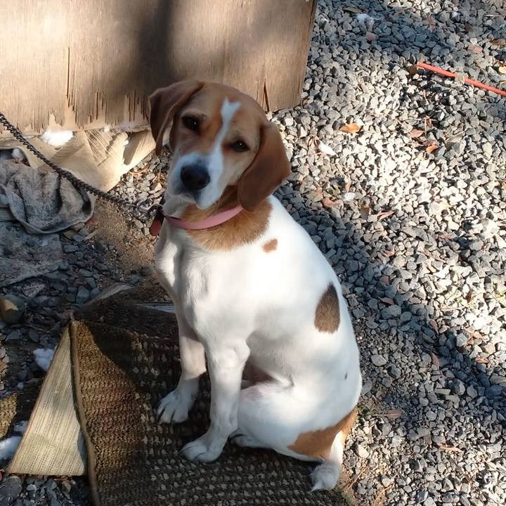 279249cc 15a3 4aa9 a11b 4456e2bd8642 1581478321386