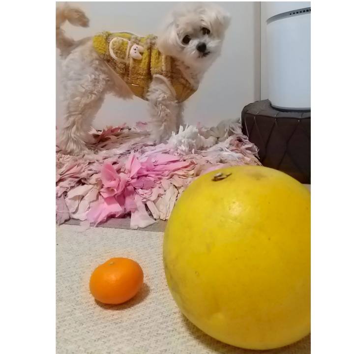 27924f24 02e4 4dac b2f9 db6d9c47e5d7 1644485634881