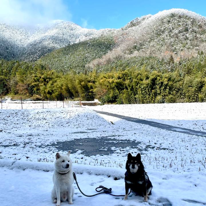 2792aaf6 70d2 4a84 a217 5866a10f4c73 1734580390944