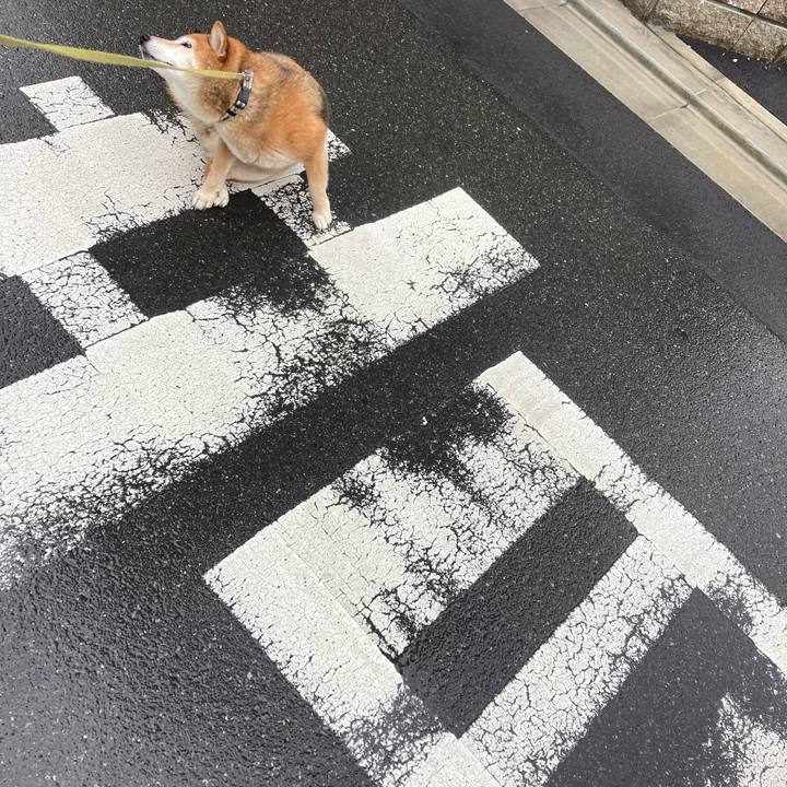 2792c6fc 2daa 4bf8 9638 25e604fecbda 1679979245240