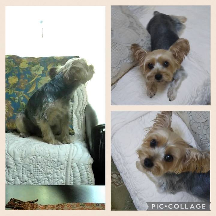 2792c780 17f7 47d3 9574 10da0d3fad1f 1663288158194