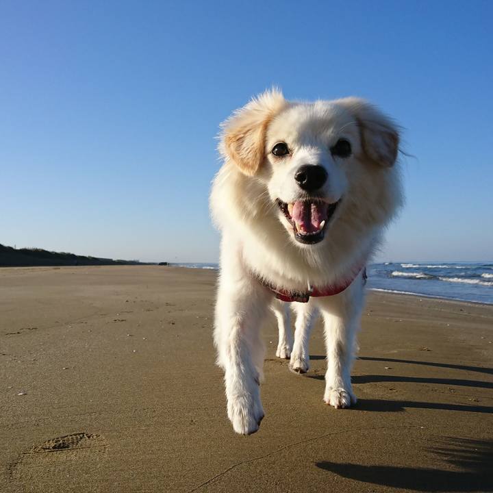 2792d1ea 6e54 4cc5 88d2 437b5bdad510 1550405614648