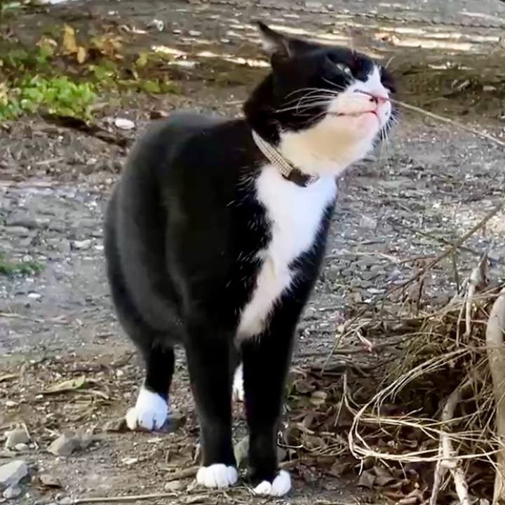 2792d2fc 8b59 46cd 8c9a 99f1c26a8d86 1731901152451