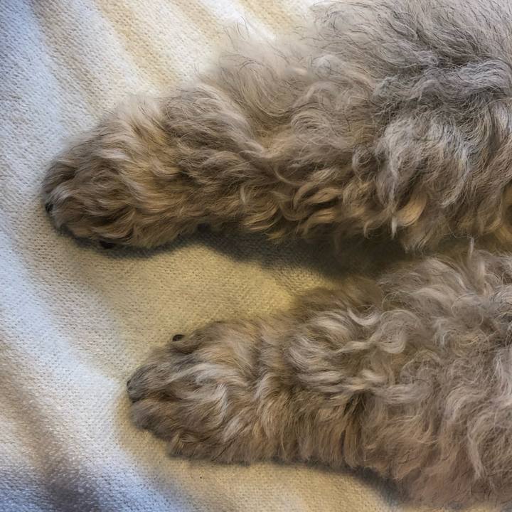 2792f15d cb1a 4e4d afd7 bd5b81383506 1555586388026