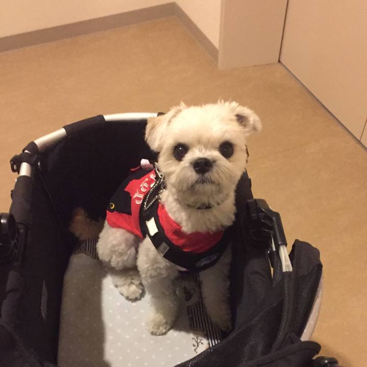 279302a4 4d0e 4621 a27e 9996ad214a89 1509716711287