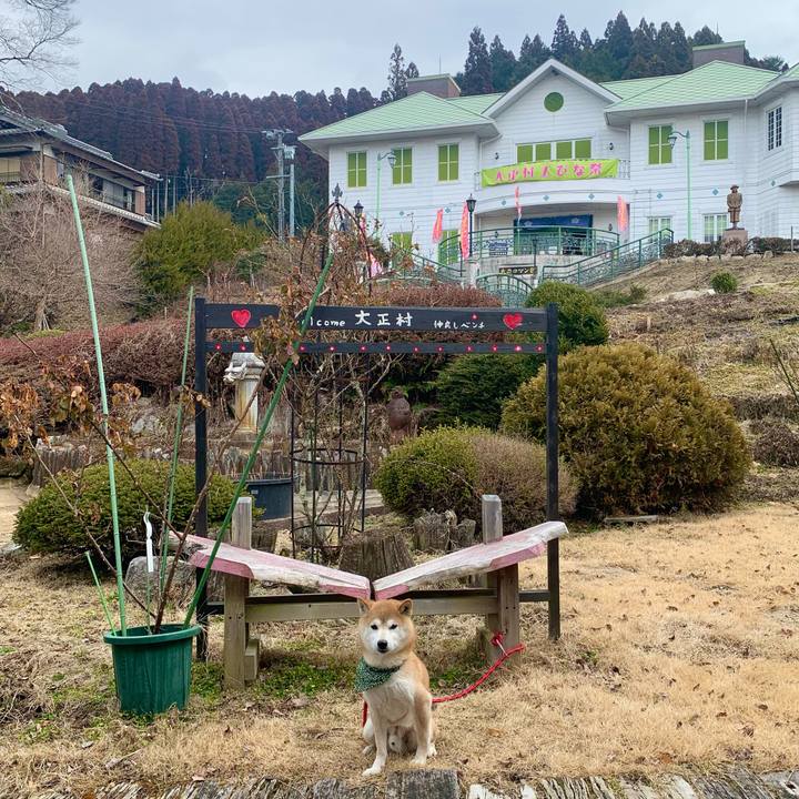 27930fc2 cb7d 4292 8833 88f9a865d171 1646126580818