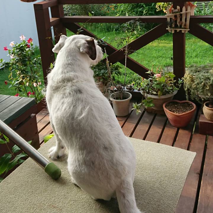 27933c9c a5c1 4a59 9910 defe45cd2fc6 1564699145564