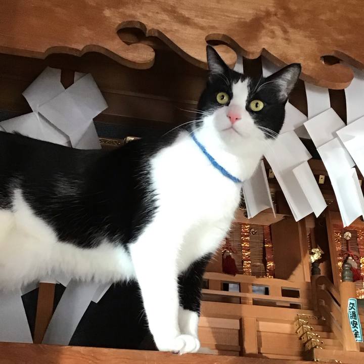 27934d81 d05b 4649 94de 508b453dbda2 1704528511781