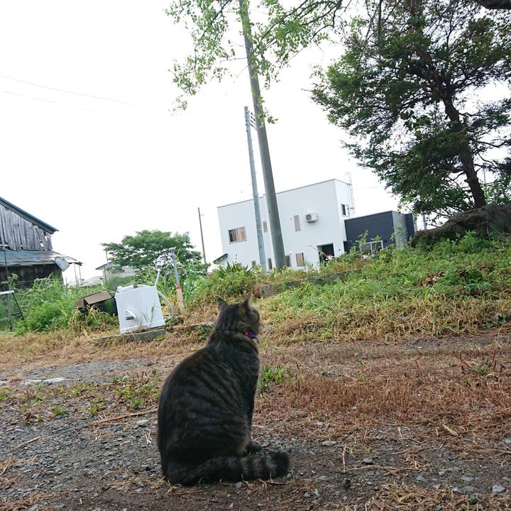 27938b62 3633 406b b68f 7fd66d6bfa49 1657659309228