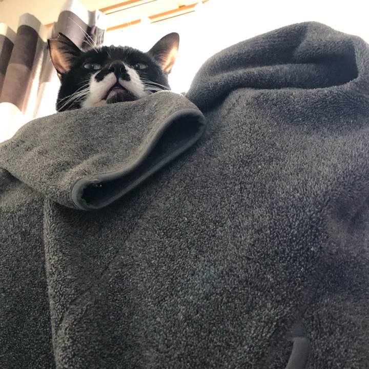 2793b451 b1a4 44e9 98ab 657580148704 1548120626820